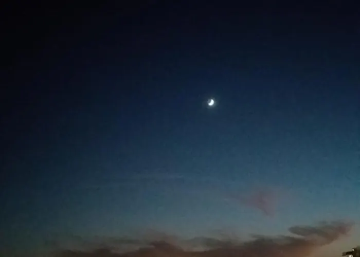 アパート Palm Garden *