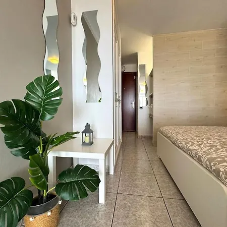 Palm Garden Apartment