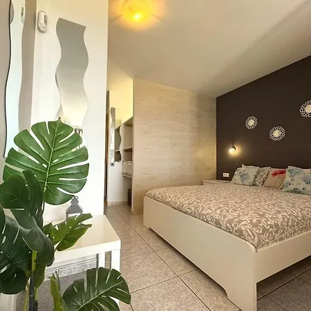 Palm Garden 公寓 莫罗德哈布雷