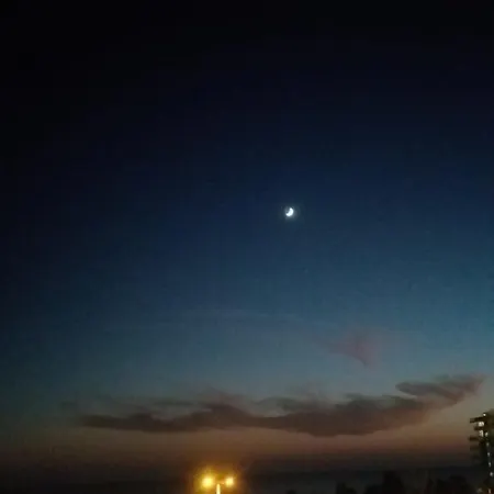 Apartment Palm Garden *